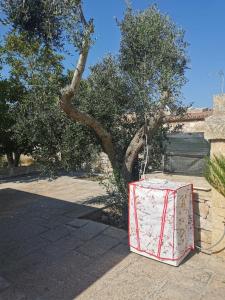 La payara di nonna nina