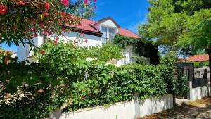 Apartments Filip & Nina