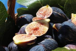 Quinta Ribeirinha - Lagos