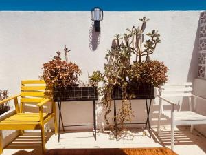 Superb Surf House Next to best Caparica Beach