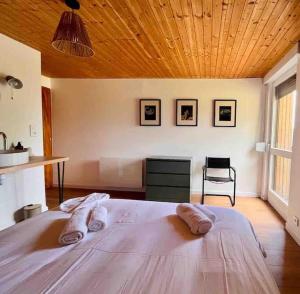 Chalets Chalet Alto : photos des chambres