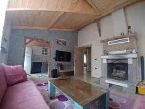 hanefi şahin günlük kiralık ev - İkizdere