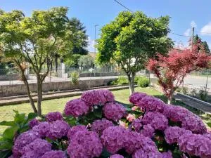 Casa Magnolia - 切尔维尼亚诺德尔夫留利