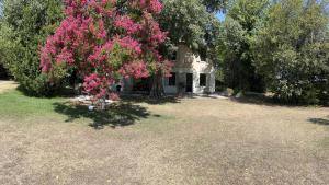 Maisons d'hotes Alpilles Camargue Mas Falabrego : photos des chambres