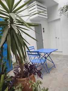 Estudio recién reformado en patio andaluz