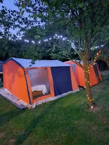 MFN - Šator - 福伊尼察