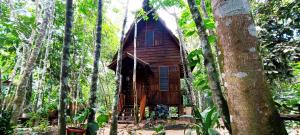 Hotel Ecologico Makalombia