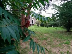 Chez Claudine - 拉加西利