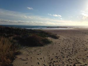 Studio cabine cosy à Sète, proche plage - FR-1-338-337