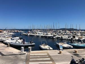 Appartements Charmant 3pieces, 2chambres 6personnes, terrasse proche mer port et commerces : photos des chambres