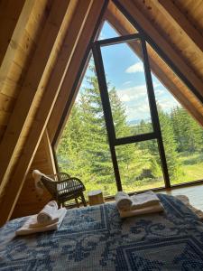 Wonderwood - cabin 1