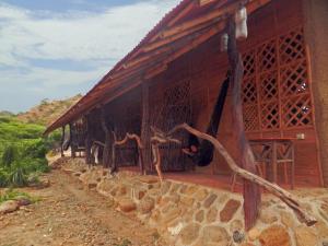 Grillo Tres Puntas Eco-Hostel