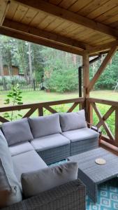 Pasieka Dobro i Smak