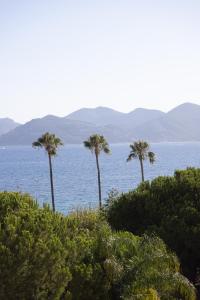 Hotels Hotel & Spa Belle Plage : photos des chambres