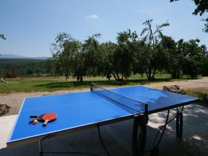 Maisons de vacances Campagne SAINT MAURINET : photos des chambres