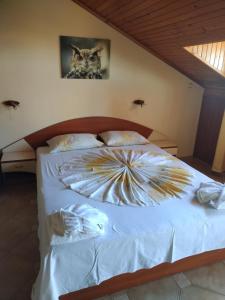 Guest House Hetodon