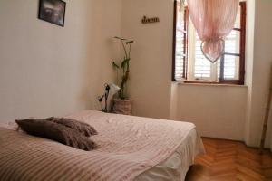 Appartment Riva (wiew)