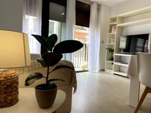 Taima Flats 3