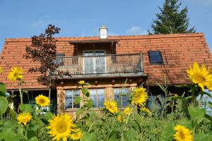 obrázek - Sonniges Kellerstöckel im Schilcherland