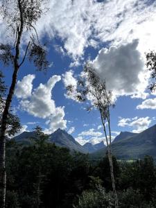 Kavliskogen panorama