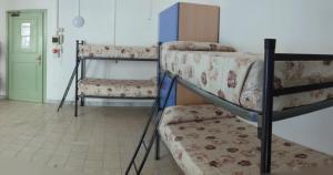 Single Bed in Six Bedroom Female Dormitory Room room in Litus Roma Hostel