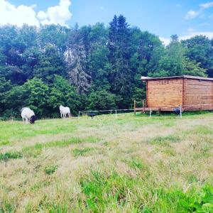 Campings Bulle du couche'rai kara : photos des chambres