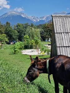 Glamping alp hut in camping Garden Park 