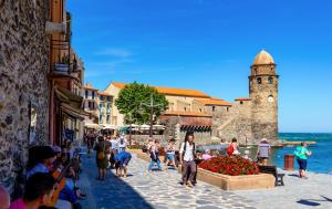 Appartements Petit nid Catalan , 10 minutes des plages : photos des chambres