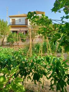 tuGuest Hortichuela House