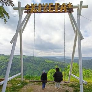 Шаленарозі