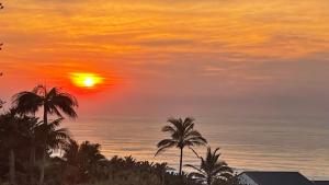 Ocean View