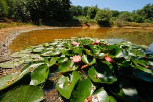 Campings Domaine La Faix, Gite la Forestiere : photos des chambres