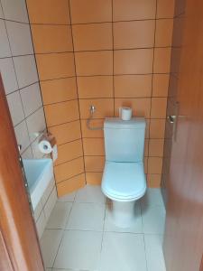 Hedonic Wellness Apartmani