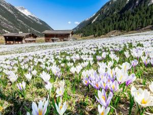 Chalet Hochkrimml with sauna on the ski slope