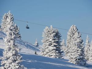 Chalet Hochkrimml with sauna on the ski slope