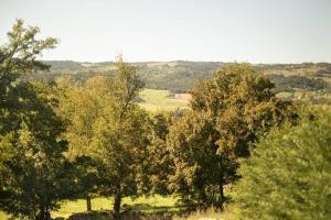 Maisons de vacances L'Ange : Entre monts et vallees : photos des chambres