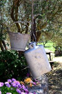 Agriturismo Pira Pinta img72