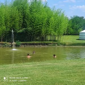 Jezero apartman privatnost