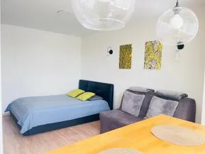 Cozy apartment with lake view - 特拉凯