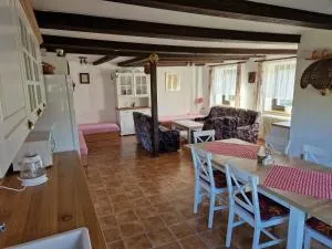 Pension u Adršpachu - Dana Tyšerová - Chvaleč