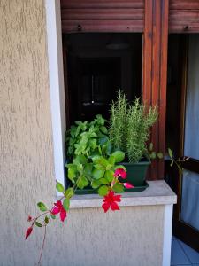 Appartamento Al Parco