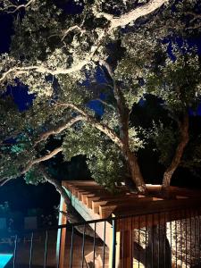 Villas La Maison des Chenes - 5 etoiles : photos des chambres