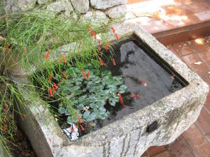 Guest House Maria Bilicic