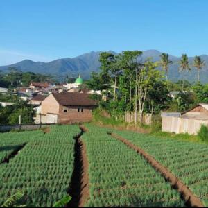 Family Villa Syariah C-33 with minipool