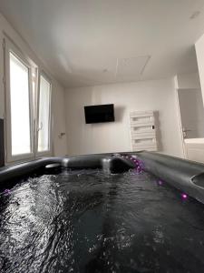 Appartements Appart avec jaccuzzi illimite : photos des chambres