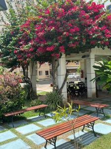 APARTAMENTO CONFORTÁVEL A 900 MTS DA PRAIA DO ARAÇAGY