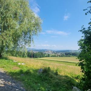 Kuscheliges Blockhaus in Alleinlage mit Traumaussicht