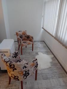 Apartman centar SD