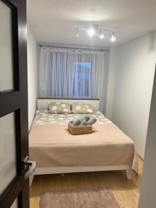 Apartament Zasanie Przemyśl