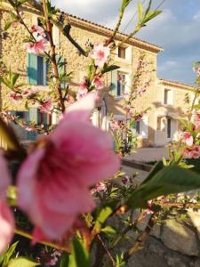 Appartements Maison au porte des gorges de l'Ardeche : photos des chambres